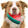 Cooling Freezable Summer Dog Teething Chew Toy – Refreshing Relief for Puppies