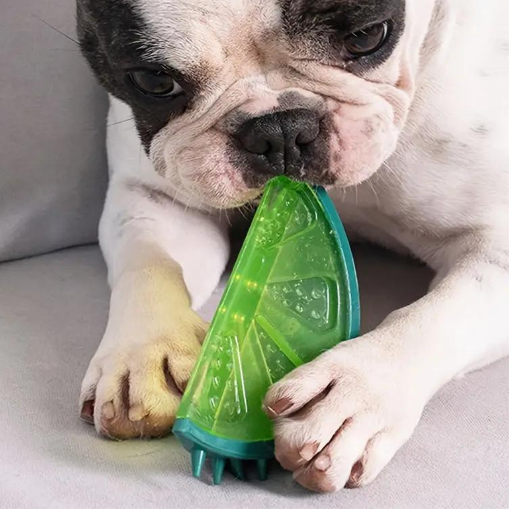 Cooling Freezable Summer Dog Teething Chew Toy – Refreshing Relief for Puppies