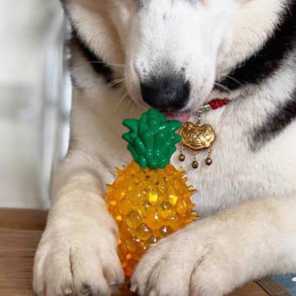 Cooling Freezable Summer Dog Teething Chew Toy – Refreshing Relief for Puppies