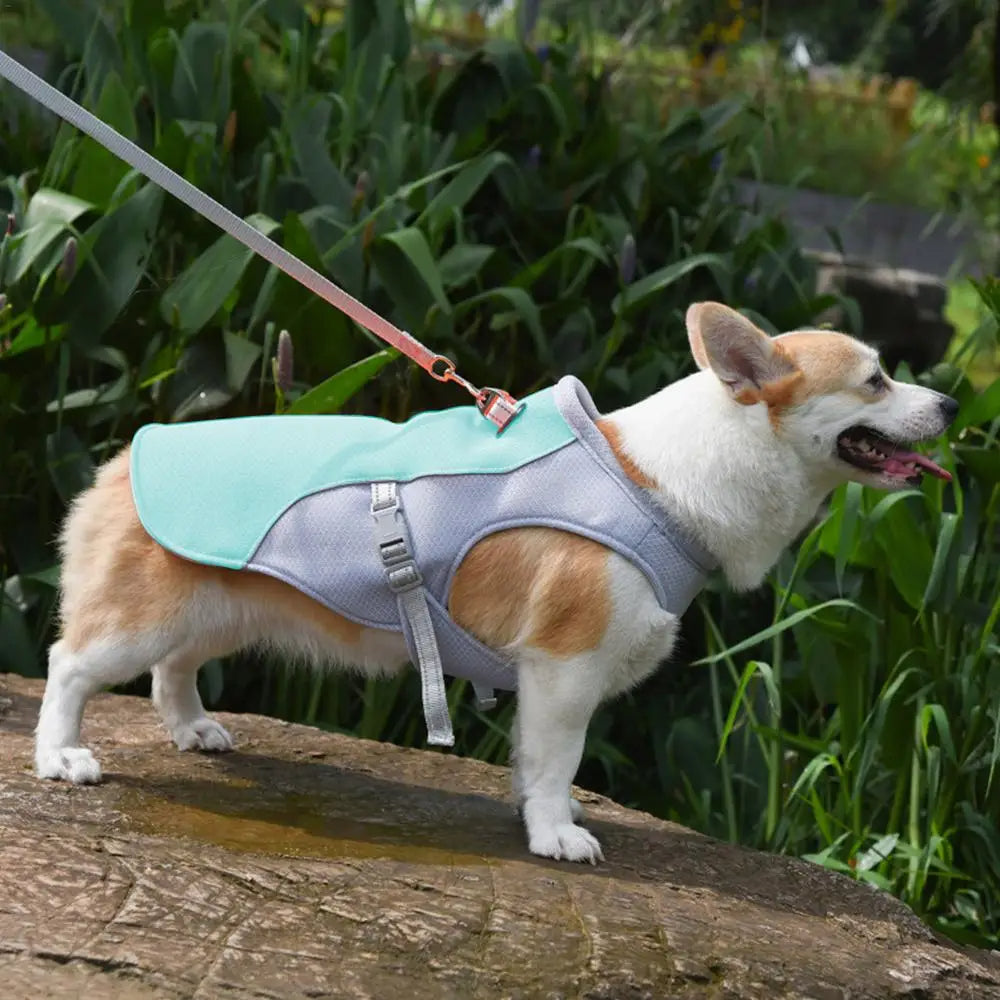 Dog Cooling Vest for Outdoor Adventures — Keeps Your Pup Cool and Comfortable