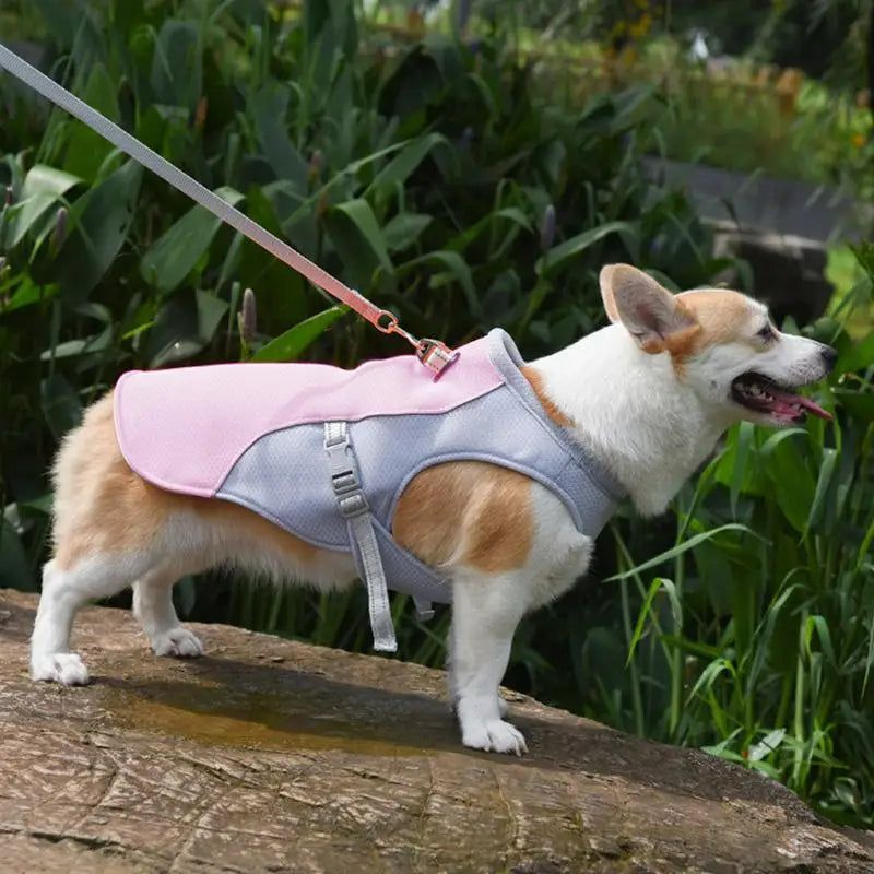 Dog Cooling Vest for Outdoor Adventures — Keeps Your Pup Cool and Comfortable