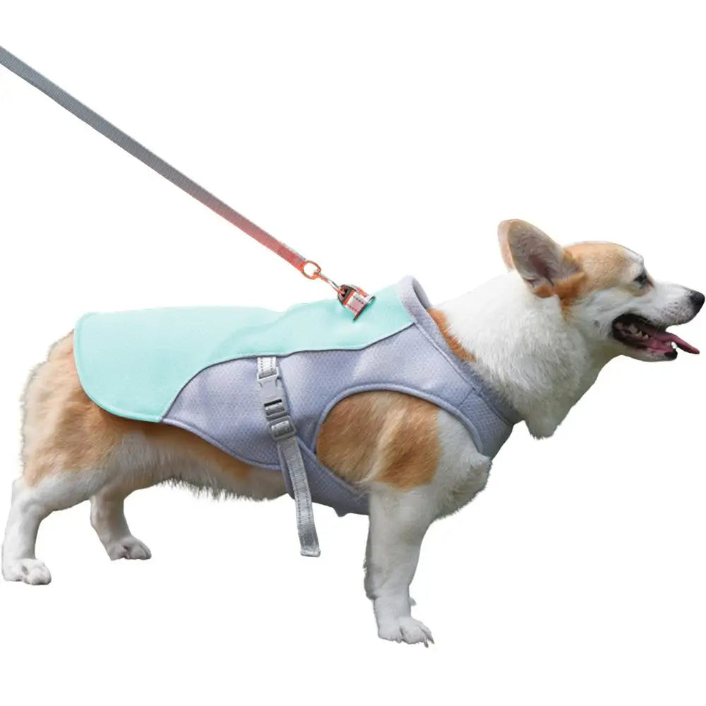 Dog Cooling Vest for Outdoor Adventures — Keeps Your Pup Cool and Comfortable