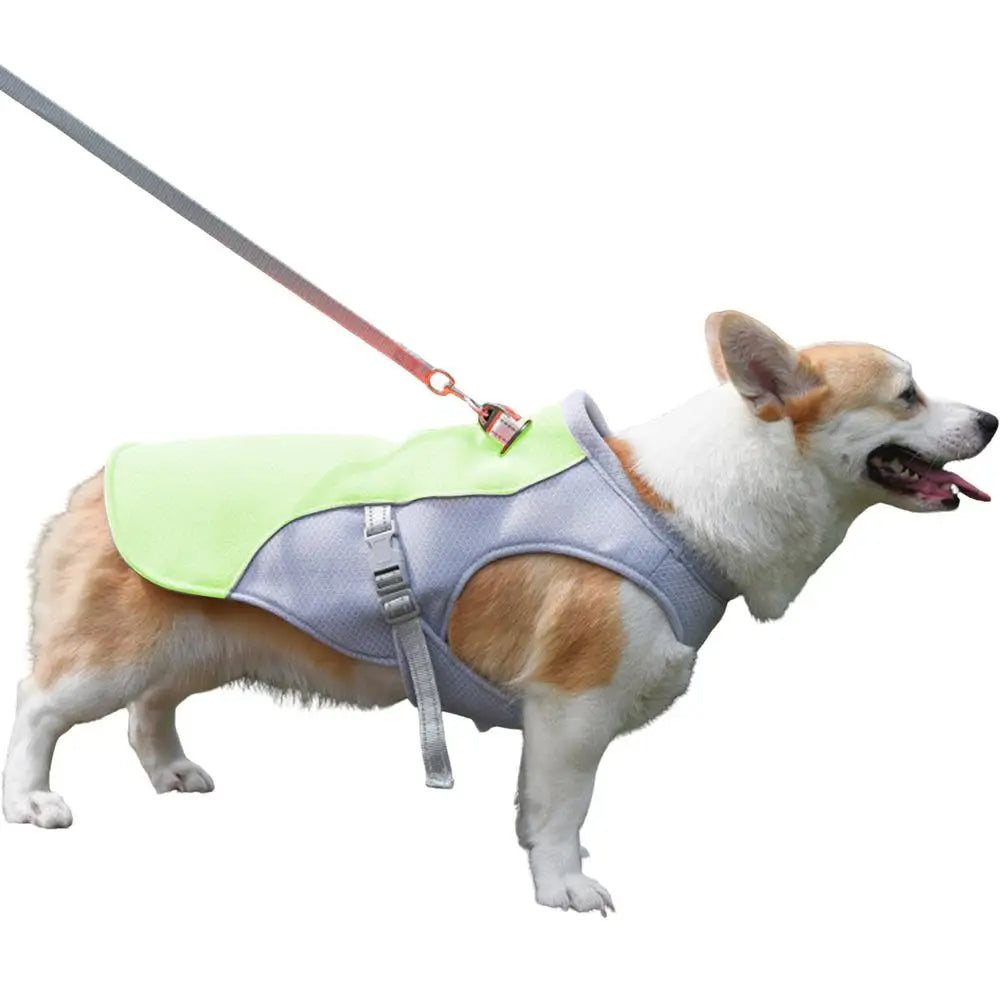 Dog Cooling Vest for Outdoor Adventures — Keeps Your Pup Cool and Comfortable