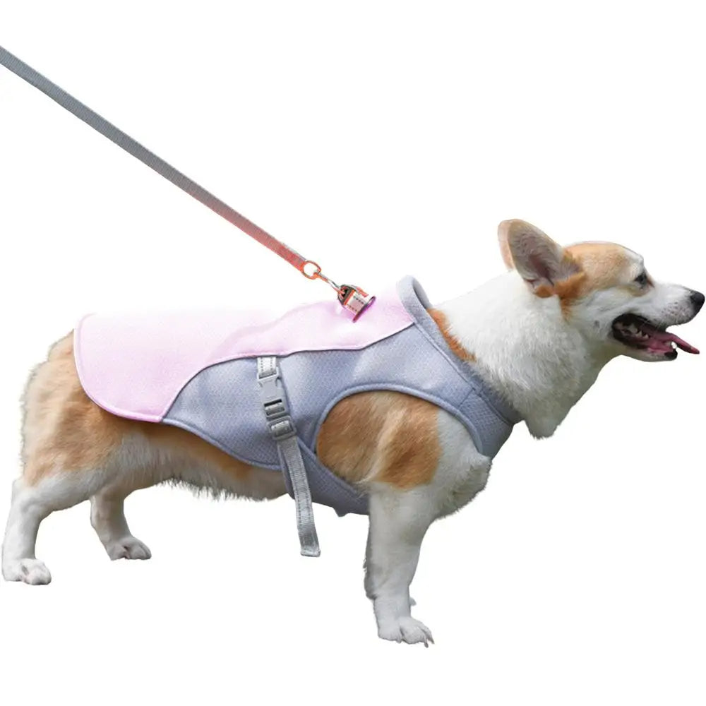 Dog Cooling Vest for Outdoor Adventures — Keeps Your Pup Cool and Comfortable